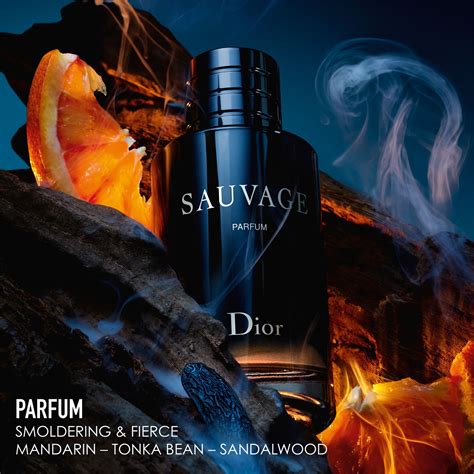 dior sauvage parfum dames|dior sauvage unisex.